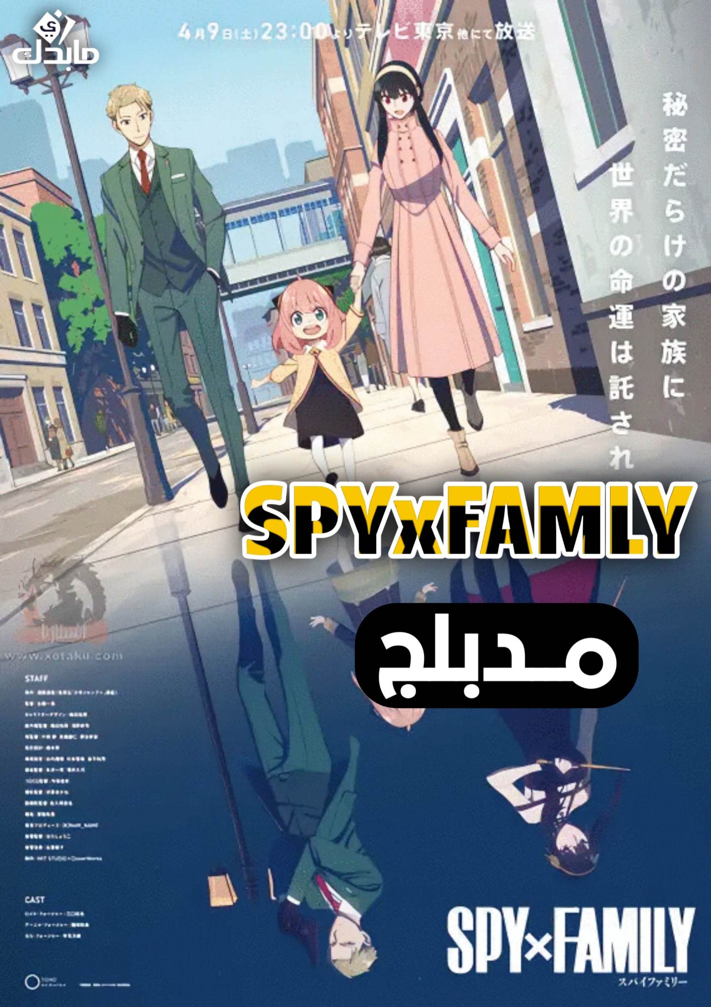 Spy x Family مدبلج
