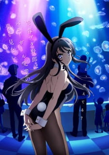 Seishun Buta Yarou wa Bunny Girl Senpai no Yume wo Minai الحلقة 13
