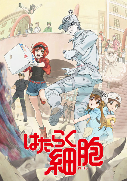 أنمي Hataraku Saibou مترجم